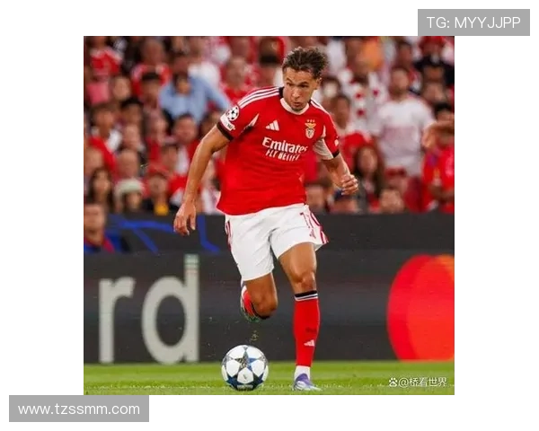 本菲卡中场控制